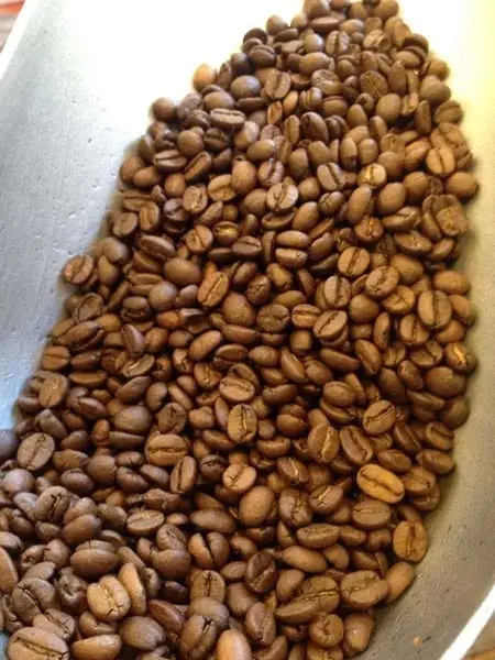 Authentic Costa Rican Coffee - Bold Flavor, 1lb Bags authentic costa rican coffee b 0 1750493010 - CERINCOFFEE