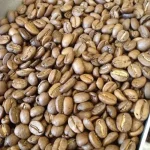 best colombian coffee beans pr 0 1750493053 - CERINCOFFEE