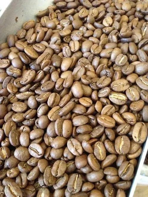 Best Colombian Coffee Beans | Premium Quality & Authentic best colombian coffee beans pr 0 1750493053 - CERINCOFFEE