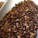bronx zoo premium wild birdsee 0 1750493053 - CERINCOFFEE