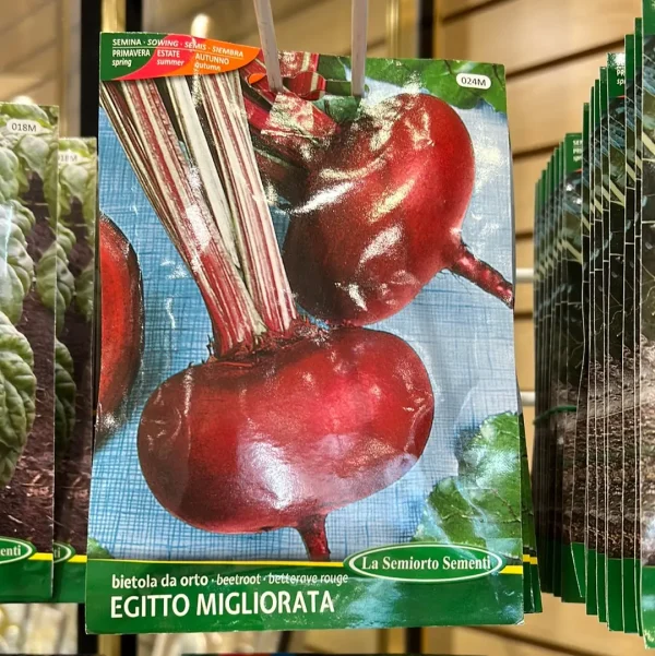 Egyptian Fresh Garden Beets | Premium Organic Produce egyptian fresh garden beets pr 0 1750488317 - CERINCOFFEE