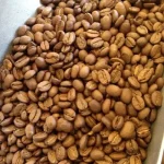 fresh organic peru coffee bean 0 1750493052 - CERINCOFFEE