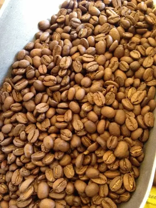 Fresh Organic Peru Coffee Beans | 1 lb Roasted Bag fresh organic peru coffee bean 0 1750493052 - CERINCOFFEE