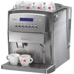 gaggia professional titanium p 0 1750493014 - CERINCOFFEE