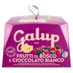 galup artisan panettone wild b 0 1750487709 - CERINCOFFEE