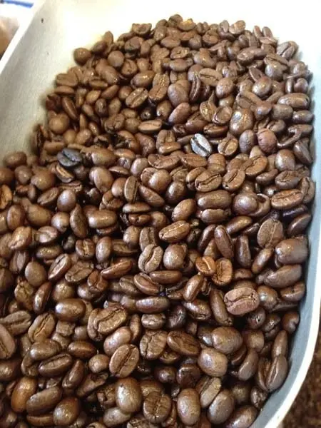 Hazelnut Flavored Coffee Beans - Premium Rich Roast, 1lb Bag hazelnut flavored coffee beans 0 1750493015 - CERINCOFFEE