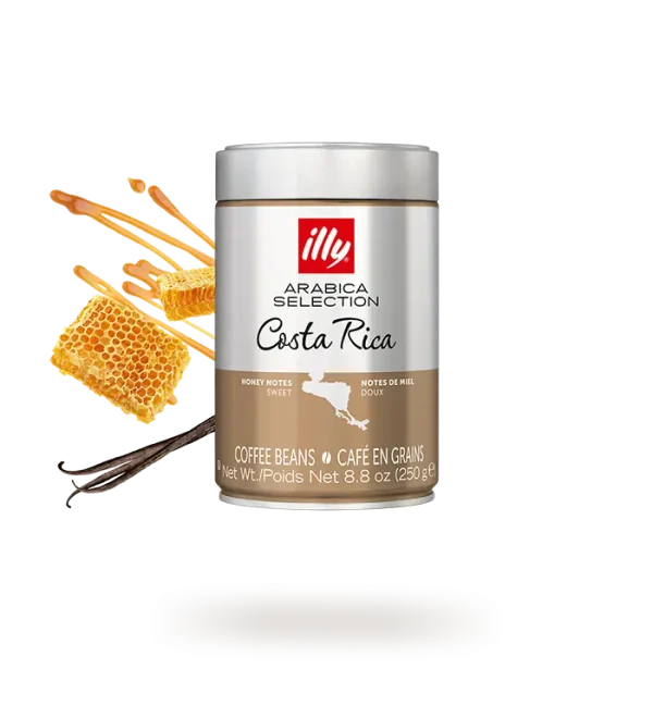 illy premium arabica coffee co 0 1750487795 - CERINCOFFEE