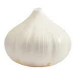 keep garlic fresh hutzler stor 0 1750489064 - CERINCOFFEE