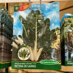 organic bietina di sarno heirl 0 1750488313 - CERINCOFFEE