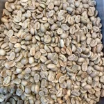 premium colombian unroasted gr 0 1750491060 - CERINCOFFEE