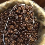 premium french vanilla coffee 0 1750493010 - CERINCOFFEE