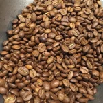 premium fresh roasted brazilia 0 1750493010 - CERINCOFFEE