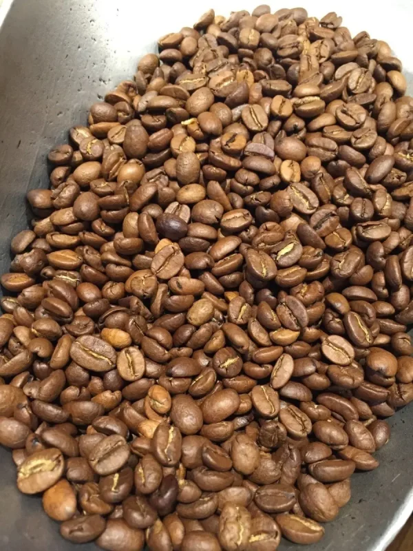 Premium Fresh Roasted Brazilian Coffee Beans - Pound Bag premium fresh roasted brazilia 0 1750493010 - CERINCOFFEE